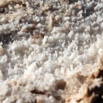 Death Valley, Bad Water
